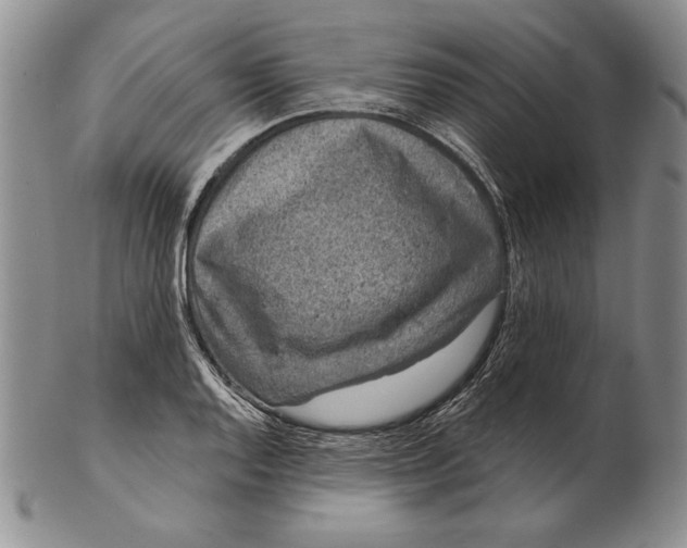 X0000102361128200808221710