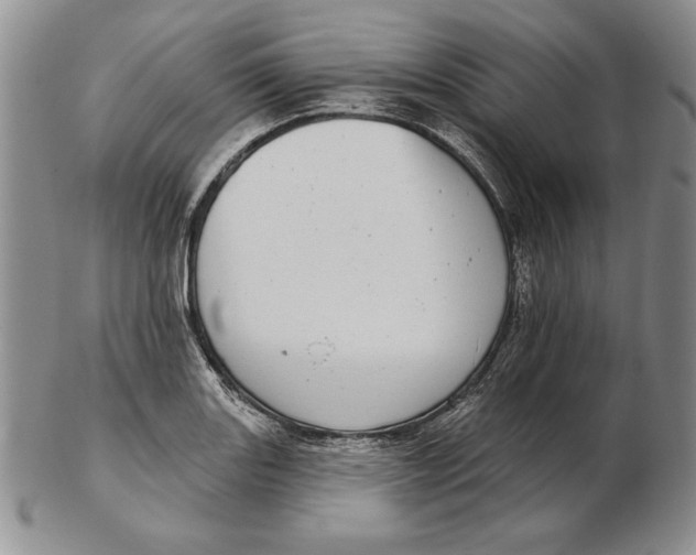 X0000102361131200808221710