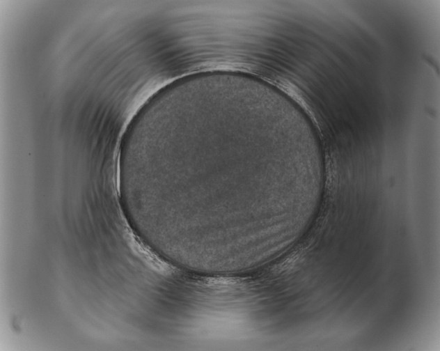 X0000102361132200808221710