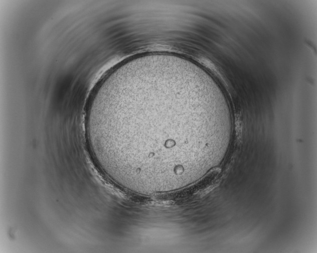 X0000102361133200808221710