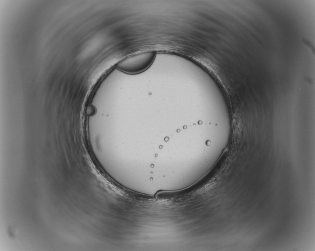 X0000102361135200808221710