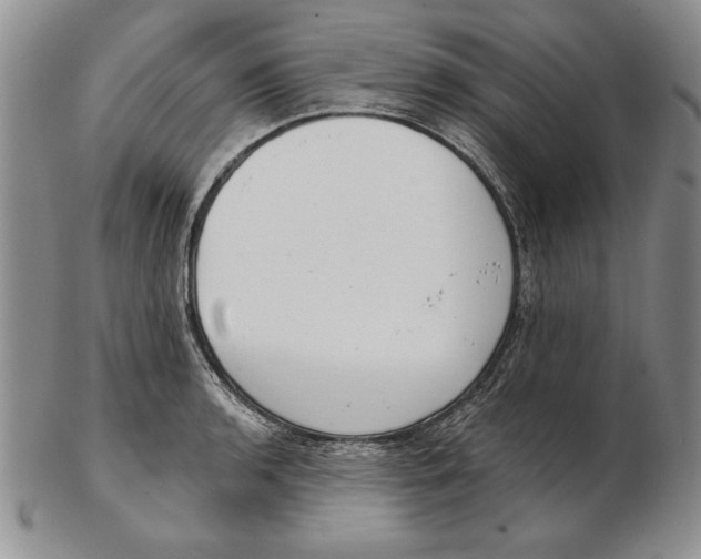 X0000102361136200808221710