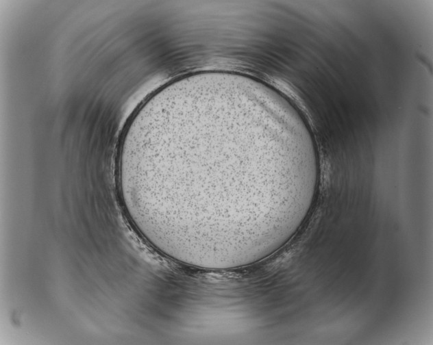 X0000102361138200808221710