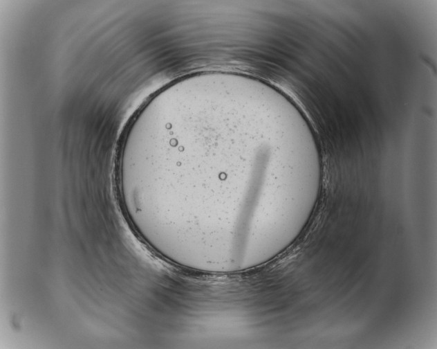 X0000102361139200808221710