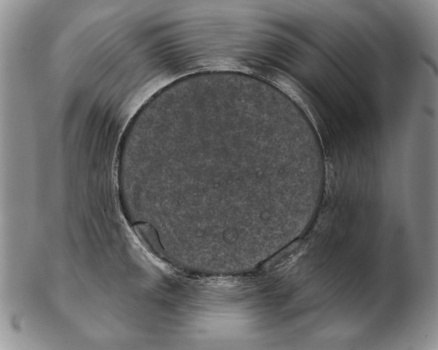 X0000102361141200808221710