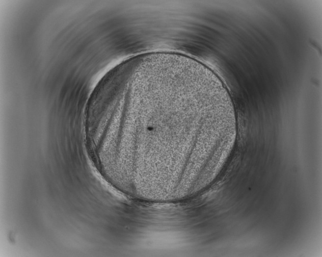 X0000102361142200808221710