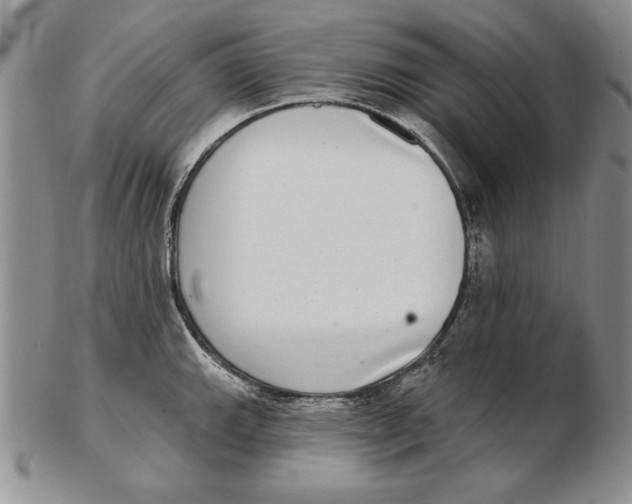 X0000102361143200808221710