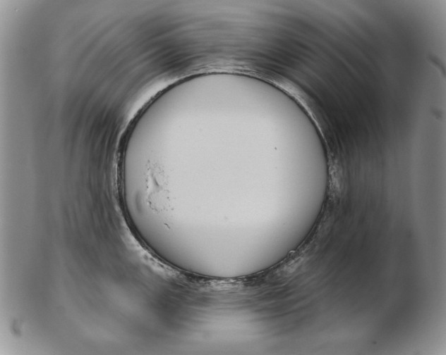 X0000102361147200808221710