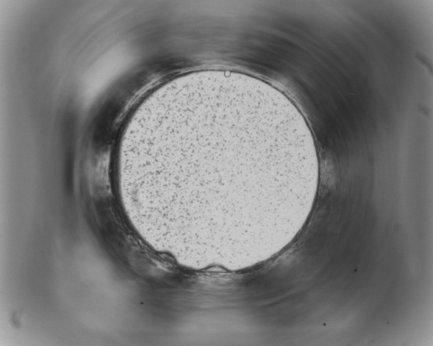 X0000102361150200808221710