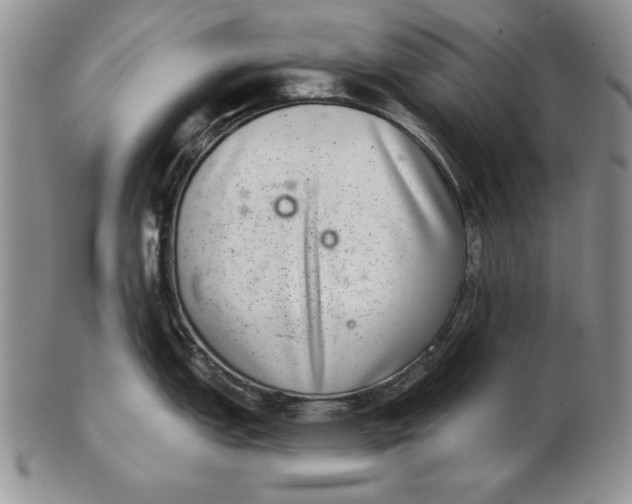 X0000102361151200808221710