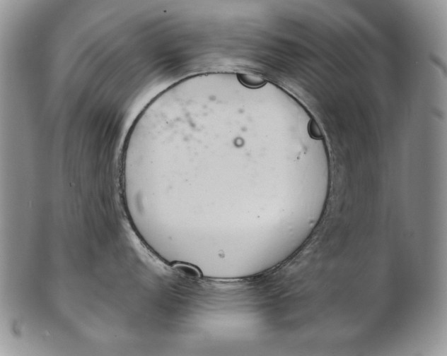 X0000102361152200808221710