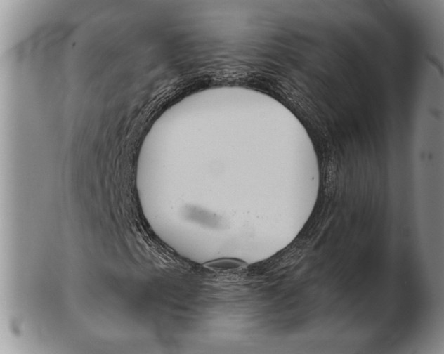 X0000102361153200808221709