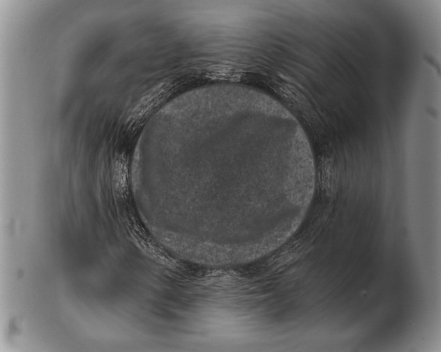 X0000102361154200808221709