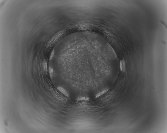 X0000102361155200808221709