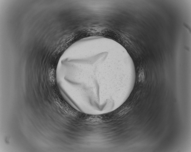 X0000102361156200808221709