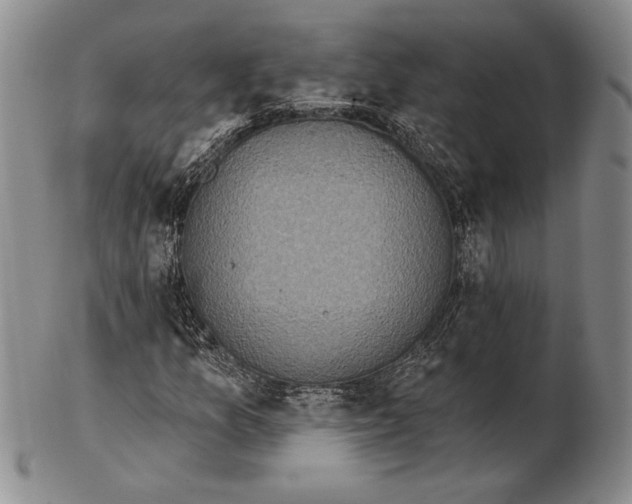 X0000102361157200808221709