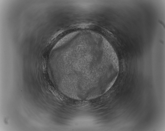 X0000102361158200808221709