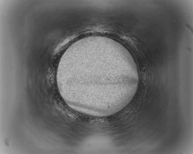 X0000102361159200808221709