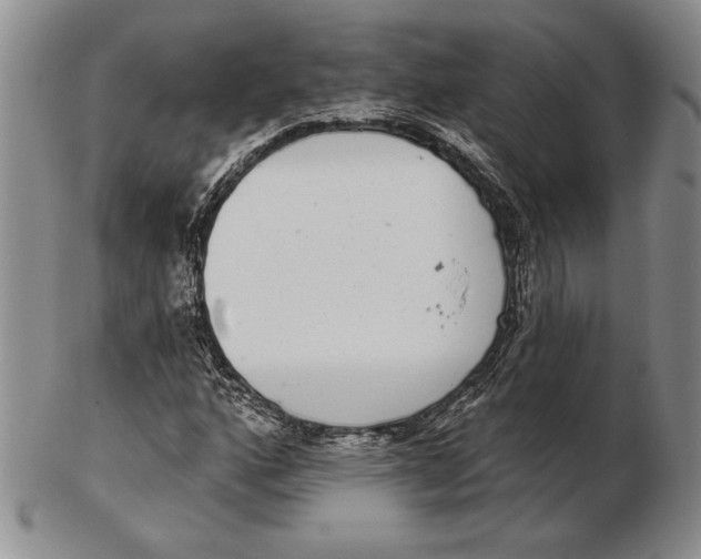 X0000102361160200808221709