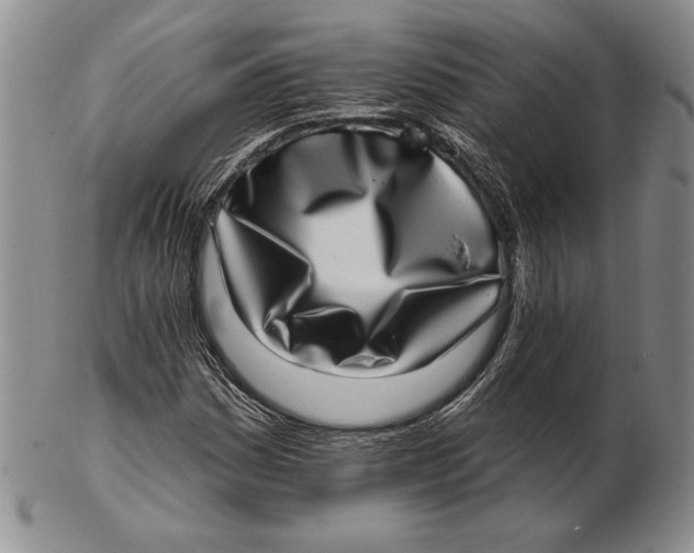 X0000102361161200808221709