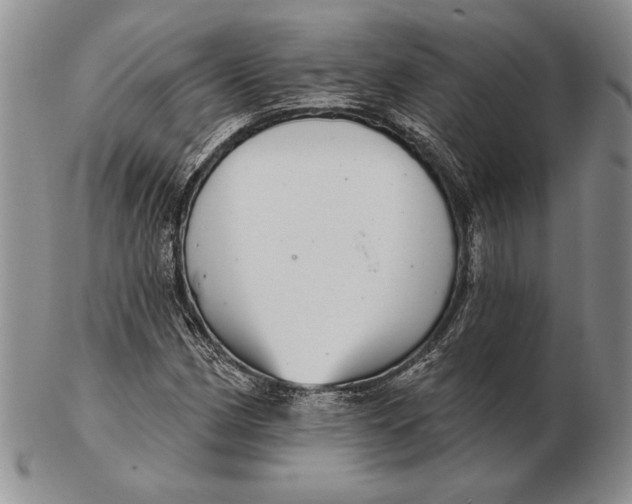 X0000102361162200808221709