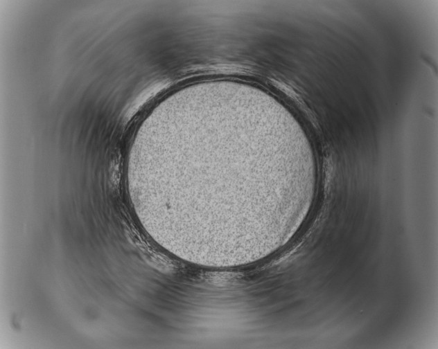 X0000102361163200808221709