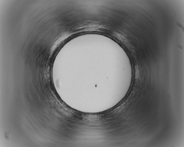 X0000102361164200808221709