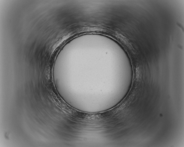 X0000102361165200808221709