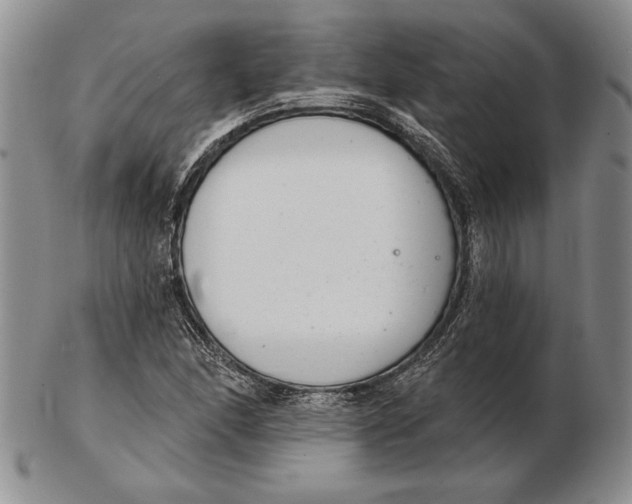 X0000102361166200808221709