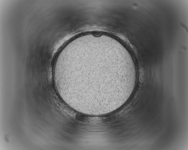 X0000102361167200808221709