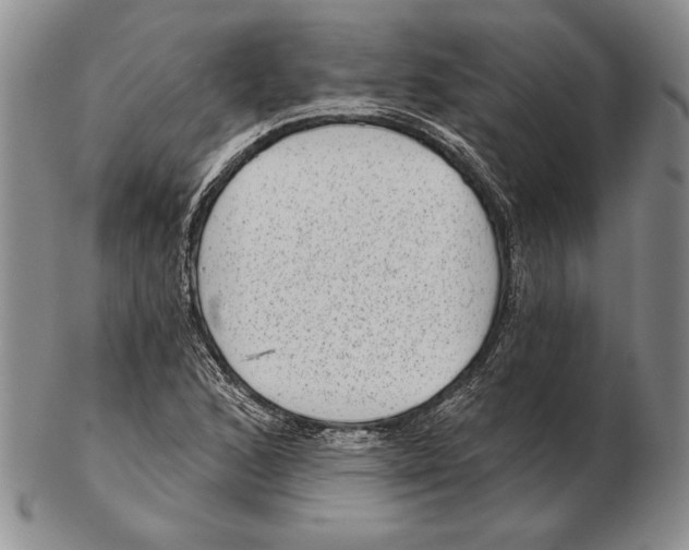 X0000102361168200808221709