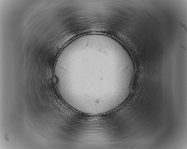 X0000102361169200808221709