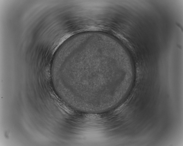 X0000102361170200808221709