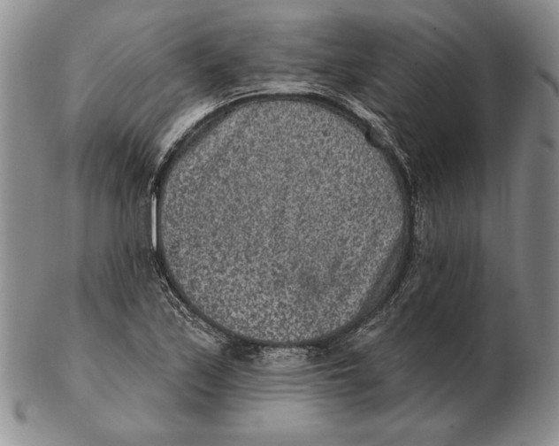 X0000102361171200808221709