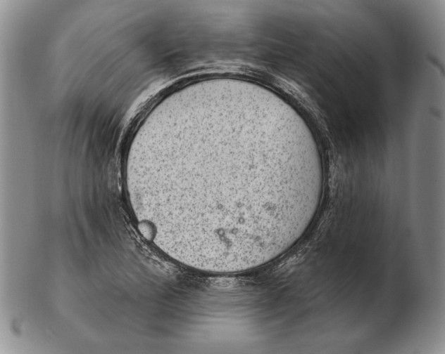 X0000102361172200808221709