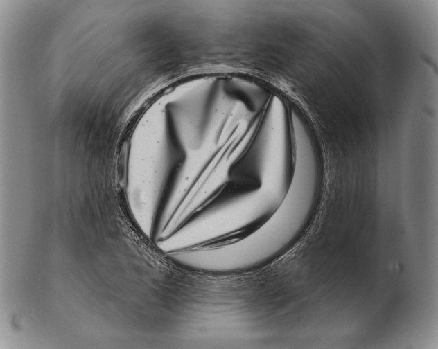 X0000102361173200808221709