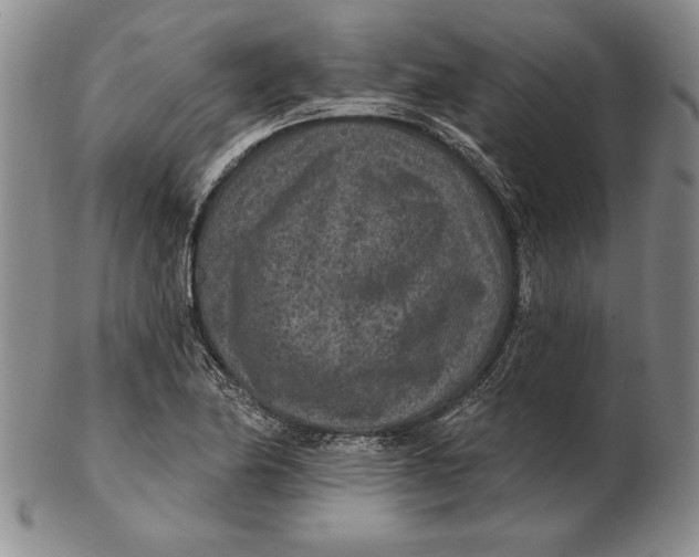 X0000102361174200808221709