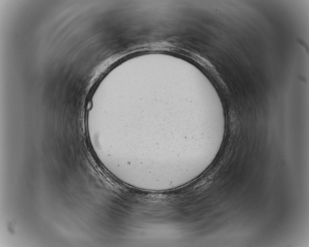 X0000102361176200808221709