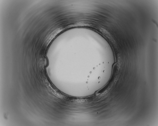 X0000102361177200808221709