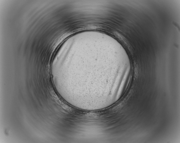 X0000102361178200808221709