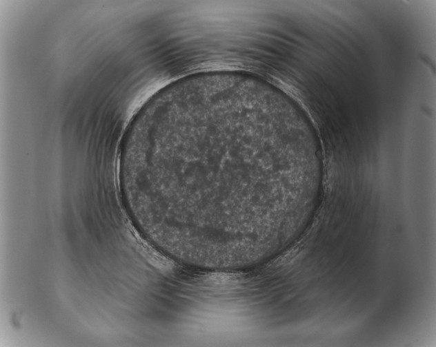 X0000102361179200808221709