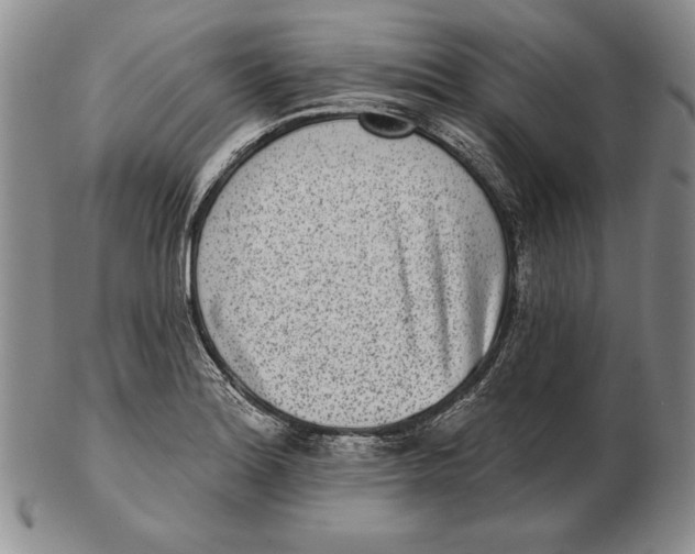 X0000102361180200808221709