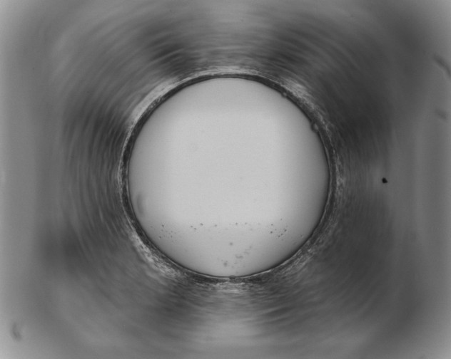 X0000102361181200808221709