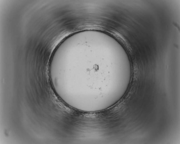 X0000102361182200808221709