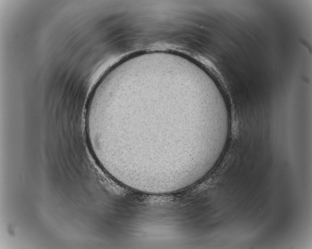 X0000102361183200808221709