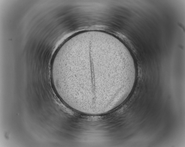 X0000102361184200808221709