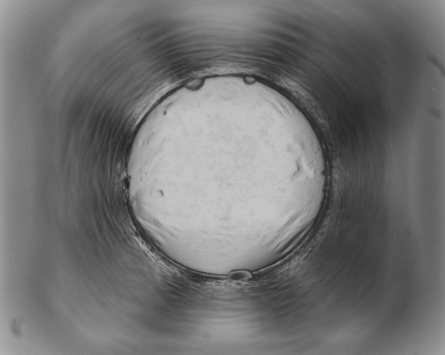 X0000102361185200808221709