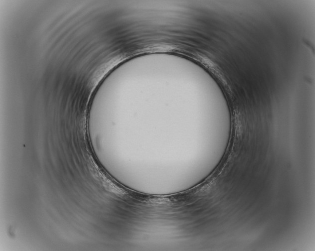 X0000102361186200808221709