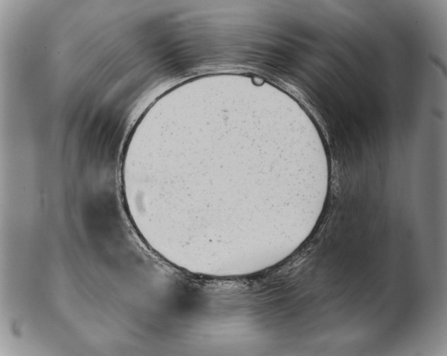 X0000102361187200808221709