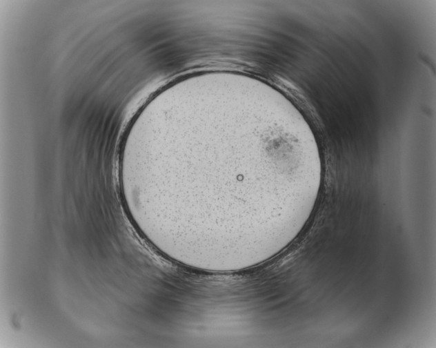 X0000102361188200808221709